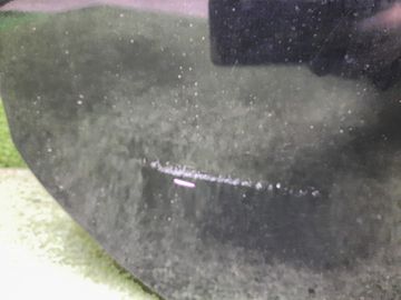 ДВЕРЬ ПЯТАЯ НА TOYOTA WISH ZNE10