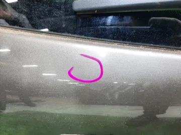 ДВЕРЬ ПЯТАЯ НА TOYOTA FIELDER NZE144