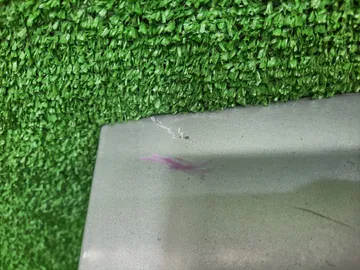 ДВЕРЬ ПЯТАЯ НА TOYOTA COROLLA SPACIO NZE121N