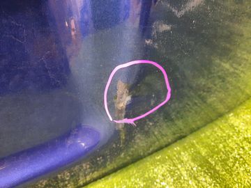 ДВЕРЬ ПЯТАЯ НА SUBARU LEGACY BH5