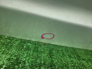 ДВЕРЬ ПЯТАЯ НА HONDA STREAM RN9