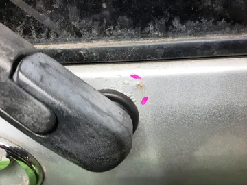 ДВЕРЬ ПЯТАЯ НА TOYOTA IPSUM ACM21W