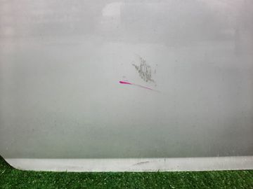 ДВЕРЬ ПЯТАЯ НА NISSAN ELGRAND AVWE50