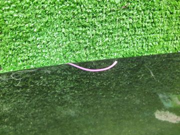 ДВЕРЬ ПЯТАЯ НА PEUGEOT 508 8D