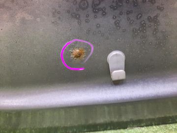 ДВЕРЬ ПЯТАЯ НА SUBARU LEGACY BG5