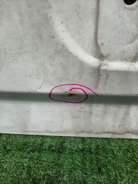 ДВЕРЬ ПЯТАЯ НА HONDA CR-V RD1