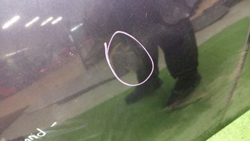 КАПОТ НА NISSAN PRESAGE PU31
