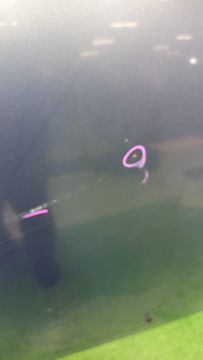 КАПОТ НА MAZDA AXELA BKEP