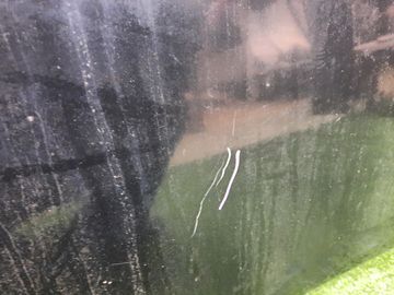 КАПОТ НА MAZDA AXELA BL5FP