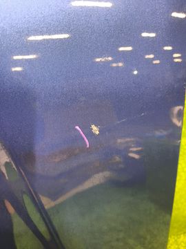 КАПОТ НА NISSAN STAGEA M35