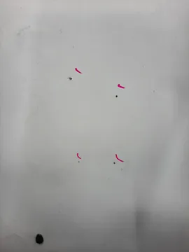 КАПОТ НА NISSAN AD Y11