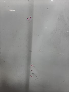 КАПОТ НА MAZDA TRIBUTE EP3W