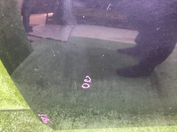 КАПОТ НА TOYOTA COROLLA  AXIO NZE164