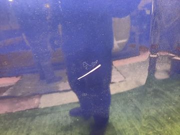 КАПОТ НА NISSAN SKYLINE V35