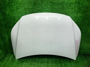 КАПОТ НА VOLKSWAGEN TIGUAN 5N1