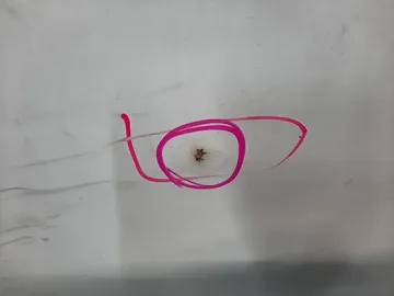 КАПОТ НА TOYOTA MARK II GX90