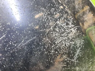 КАПОТ НА MITSUBISHI GALANT FORTIS CY4A