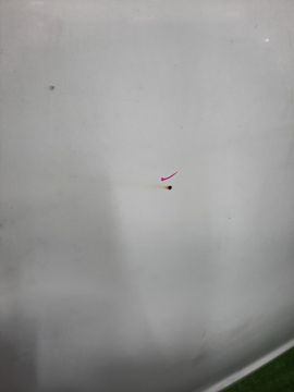 КАПОТ НА TOYOTA CAMRY ACV40