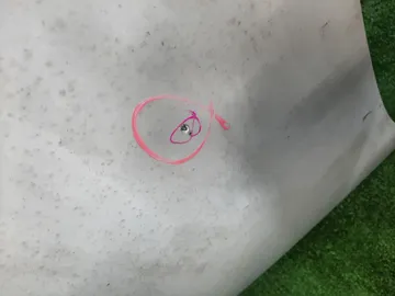 КАПОТ НА TOYOTA RAV4 ACA31W