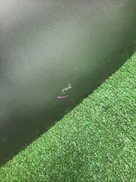 КАПОТ НА NISSAN CEFIRO A33