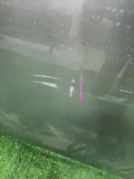 КАПОТ НА NISSAN PRIMERA P12