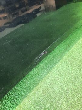 КАПОТ НА NISSAN TEANA J32