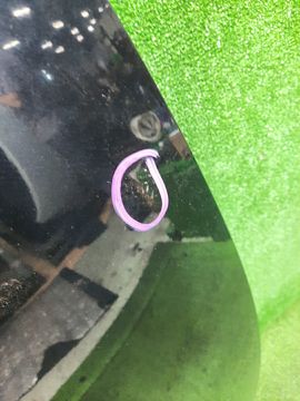 КАПОТ НА MAZDA ATENZA GG3P