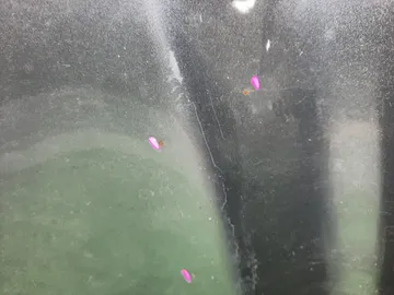 КАПОТ НА MAZDA CX-5 KE2AW