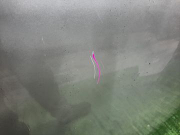 КАПОТ НА TOYOTA CAMRY SV40