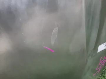 КАПОТ НА TOYOTA PREMIO ZZT240