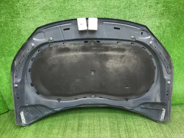 КАПОТ НА VOLKSWAGEN TIGUAN 5N1