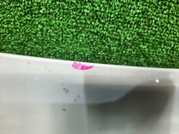 КАПОТ НА TOYOTA SAI AZK10