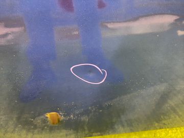 КАПОТ НА TOYOTA VITZ NCP15