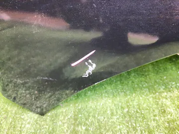 КАПОТ НА MAZDA AXELA BL5FW