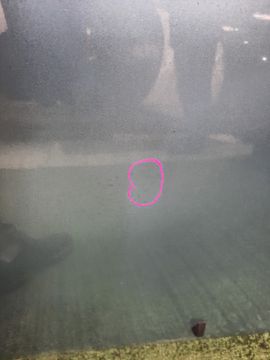 КАПОТ НА TOYOTA PRIUS NHW20