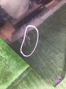 КАПОТ НА HONDA ACCORD CF6