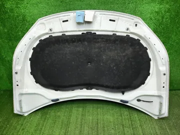 КАПОТ НА VOLKSWAGEN TIGUAN 5N1