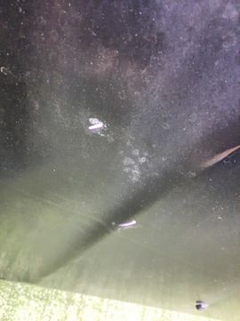 КАПОТ НА MITSUBISHI AIRTREK CU2W