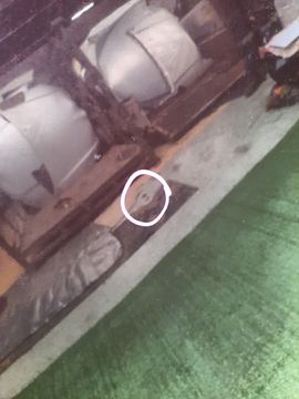 КАПОТ НА TOYOTA CROWN GRS200