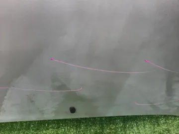 КАПОТ НА TOYOTA ALLEX NZE121