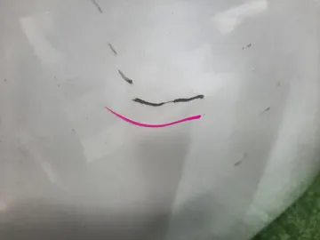 КАПОТ НА NISSAN BLUEBIRD SYLPHY G11