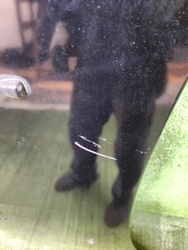 КАПОТ НА MITSUBISHI AIRTREK CU2W