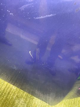 КАПОТ НА MAZDA AXELA BK5P