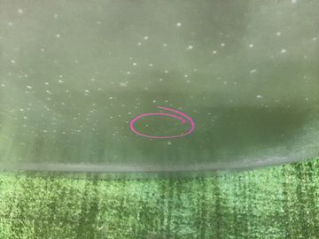 КАПОТ НА TOYOTA ALLEX NZE121