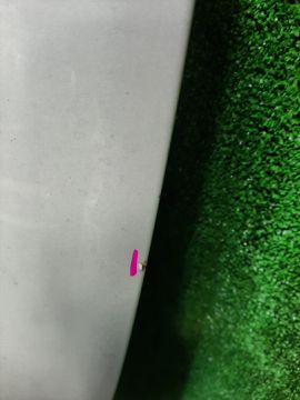 КАПОТ НА SUBARU LEGACY BRG