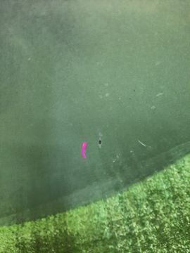 КАПОТ НА MAZDA ATENZA GG3S