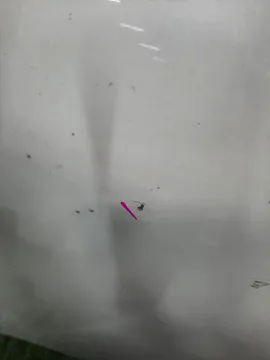 КАПОТ НА NISSAN TEANA J32