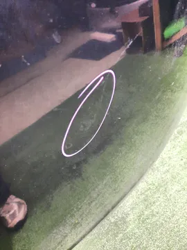 КАПОТ НА MAZDA DEMIO DW3W