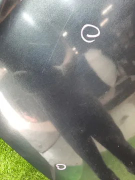 КАПОТ НА HONDA AVANCIER TA4