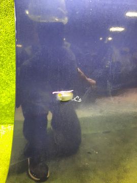 КАПОТ НА MAZDA DEMIO DY3W